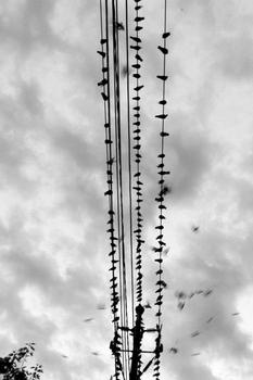 ��ͨҦ���˿�������Ƶ��52���Ա��13��Ů��������ҹ 15��Ů���Ա�����...